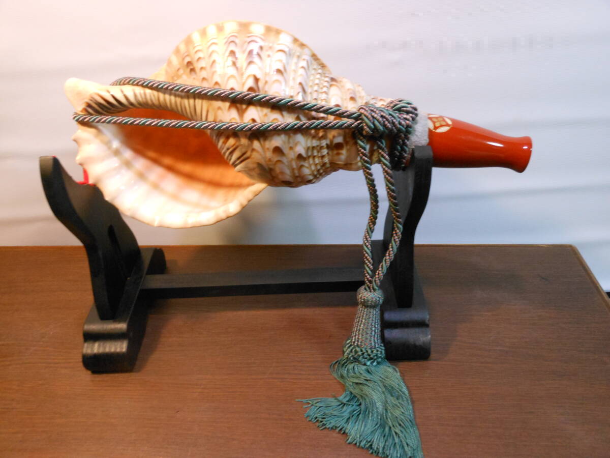 2026年最新】Yahoo!オークション -山伏 法螺貝の中古品・新品・未使用