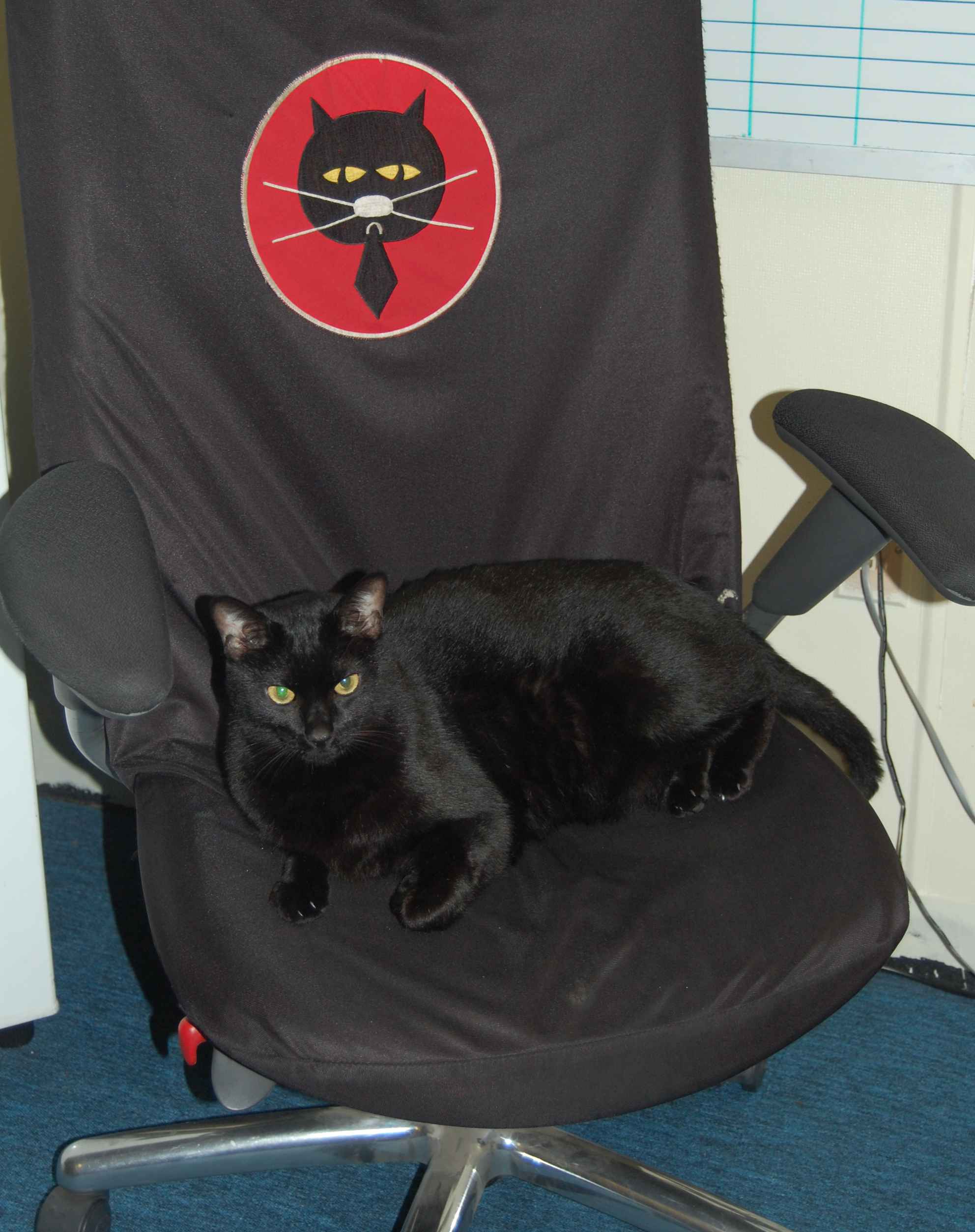 40 YEARS OF THE BLACK CAT SQUADRON (v2) | Dragon Lady Today